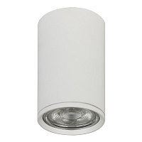 Купить Потолочный светильник Escada 20001SMU/01 SWH в Туле