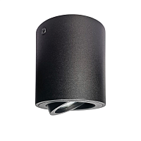 Купить Потолочный светильник Lightstar Binoco 052007 в Туле