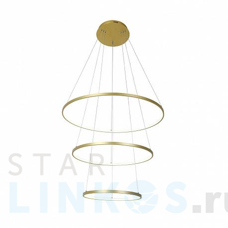 Купить Подвесной светодиодный светильник Favourite Giro 2937-18P за 20 000 руб. в Туле фото 2 Купить с доставкой Подвесной светодиодный светильник Favourite Giro 2937-18P в Туле фото 2
