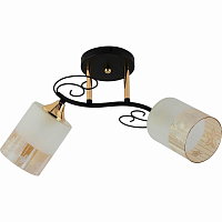 Купить Потолочный светильник Reluce 01315-0.3-02 BK+FGD в Туле