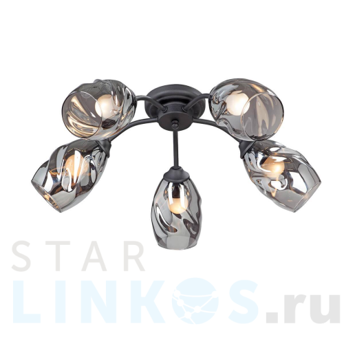 Купить Потолочная люстра Vitaluce V4936-1/5PL за 6 394 руб. в Туле Купить с доставкой Потолочная люстра Vitaluce V4936-1/5PL в Туле