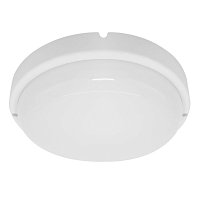 Купить Настенно-потолочный светодиодный светильник Feron AL3005 48563 в Туле