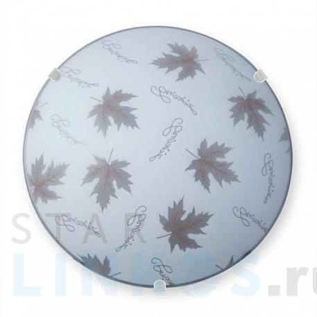 Купить Настенно-потолочный светильник Vitaluce V6283/1A за 785 руб. в Туле фото 2 Купить с доставкой Настенно-потолочный светильник Vitaluce V6283/1A в Туле фото 2