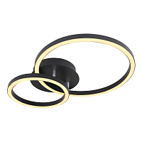 Купить Потолочный светодиодный светильник Globo Reggy 67238-18B в Туле