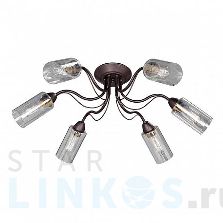 Купить Потолочная люстра Vitaluce V3744-8/6PL за 5 504 руб. в Туле фото 2 Купить с доставкой Потолочная люстра Vitaluce V3744-8/6PL в Туле фото 2