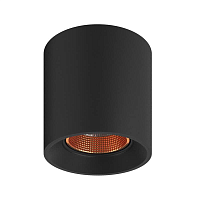 Купить Накладной светильник Denkirs DK3090-BBR в Туле