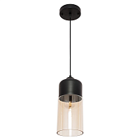 Купить Подвесной светильник Gerhort G51129/1C BK BK+CL в Туле