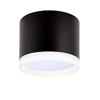 Купить Накладной потолочный светильник Ritter Arton 59947 0 в Туле