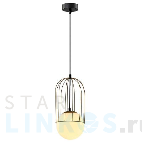 Купить Подвесной светильник Rivoli Bethany 4107-201 Б0057923 за 5 628 руб. в Туле фото 2 Купить с доставкой Подвесной светильник Rivoli Bethany 4107-201 Б0057923 в Туле фото 2