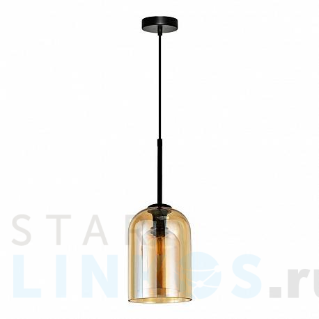 Купить Подвесной светильник Arte Lamp Paio A7015SP-1BK за 6 990 руб. в Туле фото 2 Купить с доставкой Подвесной светильник Arte Lamp Paio A7015SP-1BK в Туле фото 2