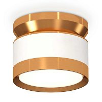 Купить Комплект накладного светильника Ambrella light Techno Spot XS (N8909, C8101, N8124) XS8101060 в Туле