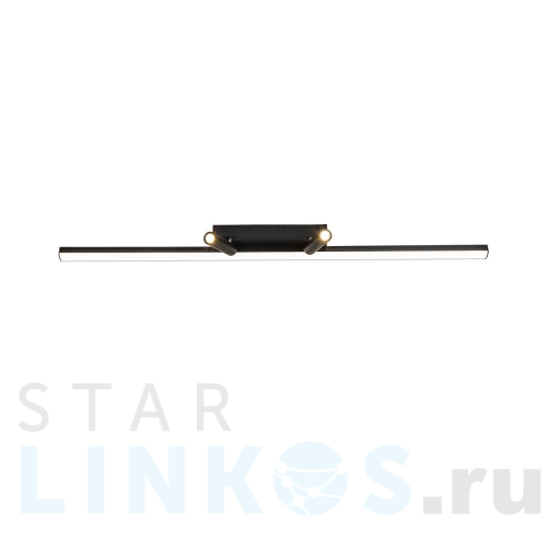 Купить Потолочный светодиодный светильник Favourite Reticenza 4089-2C за 15 200 руб. в Туле Купить с доставкой Потолочный светодиодный светильник Favourite Reticenza 4089-2C в Туле