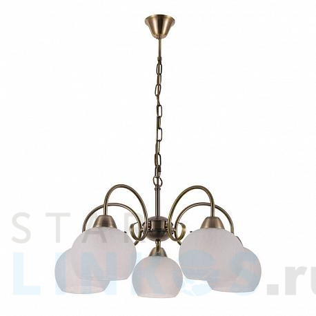 Купить Подвесная люстра Arte Lamp A9317LM-5AB за 9 990 руб. в Туле фото 2 Купить с доставкой Подвесная люстра Arte Lamp A9317LM-5AB в Туле фото 2