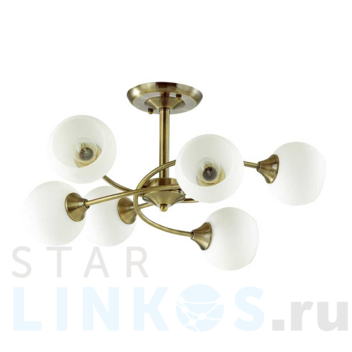 Купить Потолочная люстра Lumion Daniella Comfi 4537/6C за 6 590 руб. в Туле Купить с доставкой Потолочная люстра Lumion Daniella Comfi 4537/6C в Туле