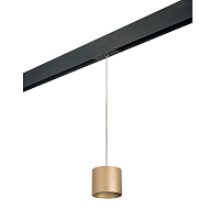 Купить Трековый светильник Lightstar Rullo (213490+595887) PRORP3490 в Туле