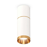 Купить Комплект потолочного светильника Ambrella light Techno Spot XC (C6301, A2062, C6322, N6134) XS6322062 в Туле