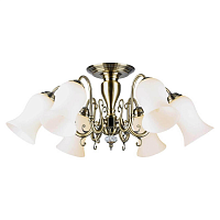Купить Потолочная люстра Lussole Anaheim GRLSP-8026 в Туле