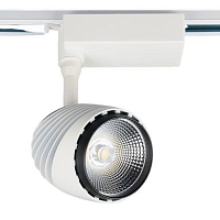 Купить Трековый светодиодный светильник Elvan ST-032-30W-NH в Туле