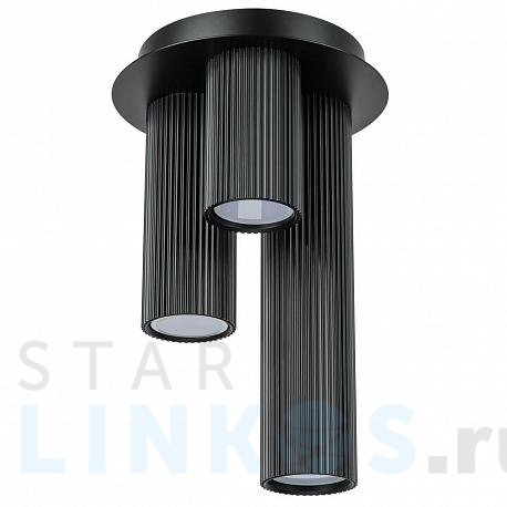 Купить Потолочная люстра Lightstar Roma 718037 за 11 816 руб. в Туле фото 2 Купить с доставкой Потолочная люстра Lightstar Roma 718037 в Туле фото 2