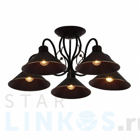 Купить Потолочная люстра Evoluce Ciolla SLE120402-05 за 8 380 руб. в Туле фото 2 Купить с доставкой Потолочная люстра Evoluce Ciolla SLE120402-05 в Туле фото 2