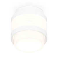 Купить Комплект накладного светильника Ambrella light Techno Spot XS (C8431, N8401) XS8431001 в Туле