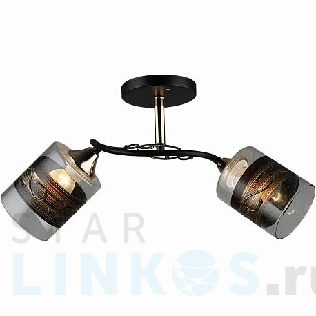 Купить Потолочный светильник Reluce 04846-0.3-02 за 1 900 руб. в Туле фото 2 Купить с доставкой Потолочный светильник Reluce 04846-0.3-02 в Туле фото 2