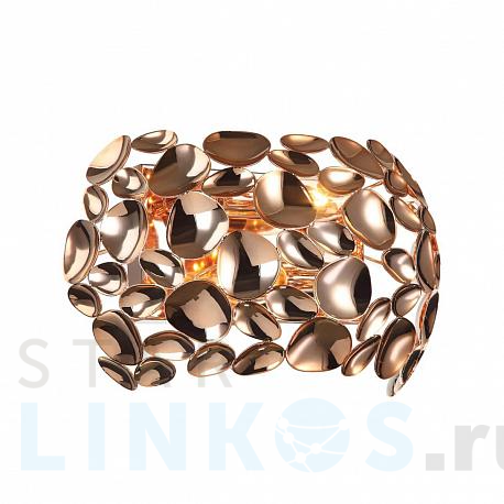 Купить Настенный светильник Favourite Gittus 2013-2W за 6 500 руб. в Туле фото 2 Купить с доставкой Настенный светильник Favourite Gittus 2013-2W в Туле фото 2