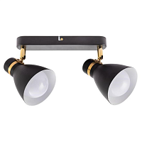 Купить Спот Arte Lamp Fafnir A5047PL-2BK в Туле