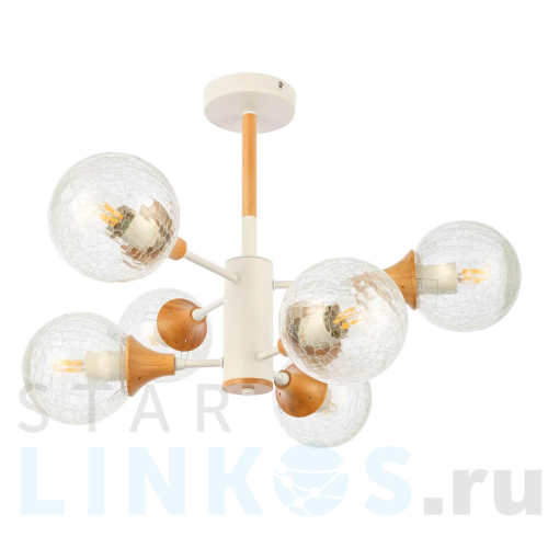 Купить Потолочная люстра Evoluce Lione SLE109502-06 за 12 290 руб. в Туле Купить с доставкой Потолочная люстра Evoluce Lione SLE109502-06 в Туле