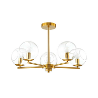 Купить Потолочная люстра Lumion Moderni Blair 3769/5C в Туле