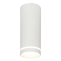 Купить Потолочный светодиодный светильник Escada 20009SMU/02LED SWH в Туле