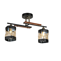 Купить Потолочный светильник Hiper Maia H183-2 в Туле