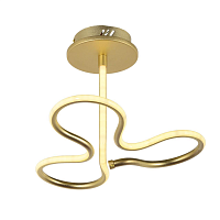 Купить Потолочный светодиодный светильник Arti Lampadari Angelo L 1.2.35.03 G в Туле