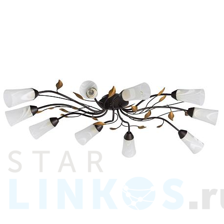 Купить Потолочная люстра MW-Light Восторг 242015410 за 19 310 руб. в Туле фото 2 Купить с доставкой Потолочная люстра MW-Light Восторг 242015410 в Туле фото 2