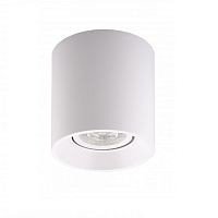 Купить Потолочный светильник Denkirs DK3040-WH в Туле