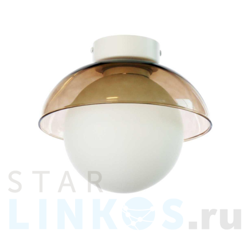 Купить с доставкой Потолочный светильник 33 Идеи WLL029.000.034.100 в Туле