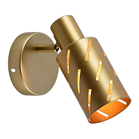 Купить Спот Reluce 05970-0.8-01 GOLD в Туле