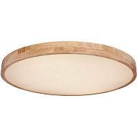 Купить Потолочный светодиодный светильник Globo Rainer 41745-60 в Туле