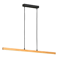 Купить Подвесной светильник Lussole LOFT MODESTO LSP-7133 в Туле