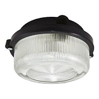Купить Настенно-потолочный светильник TDM Electric НПП 03-100-005.03 SQ0311-0004 в Туле