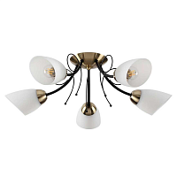 Купить Потолочная люстра Lumion Comfi Eliana 4592/5C в Туле