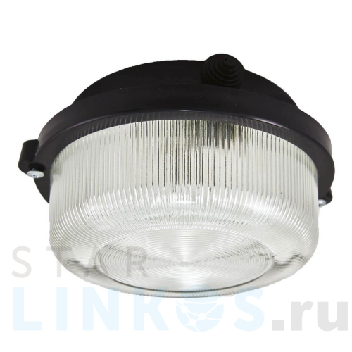Купить с доставкой Настенно-потолочный светильник TDM Electric НПП 03-100-005.03 SQ0311-0004 в Туле