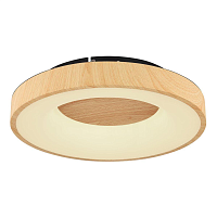 Купить Потолочный светодиодный светильник Globo Jolli 41758-30 в Туле