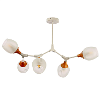 Купить Потолочная люстра Evoluce Ciotolla SLE113502-05 в Туле