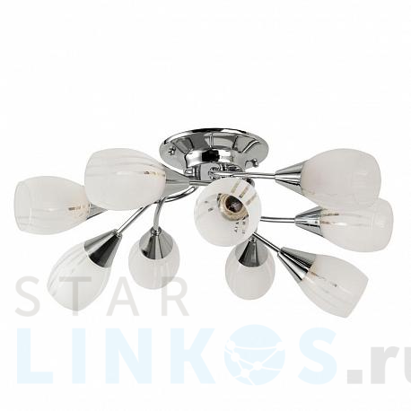 Купить Потолочная люстра Arte Lamp Penny A2701PL-9CC за 8 990 руб. в Туле фото 2 Купить с доставкой Потолочная люстра Arte Lamp Penny A2701PL-9CC в Туле фото 2