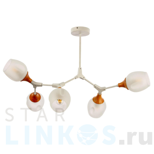 Купить Потолочная люстра Evoluce Ciotolla SLE113502-05 за 12 290 руб. в Туле Купить с доставкой Потолочная люстра Evoluce Ciotolla SLE113502-05 в Туле