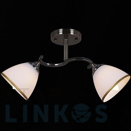 Купить Потолочный светильник Reluce 32238-0.3-02 за 1 580 руб. в Туле фото 2 Купить с доставкой Потолочный светильник Reluce 32238-0.3-02 в Туле фото 2