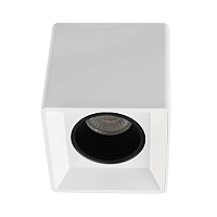 Купить Накладной светильник Denkirs DK3080-WH+BK в Туле