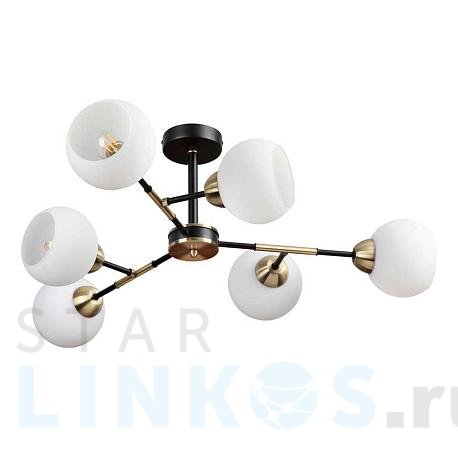 Купить Потолочная люстра Lumion Comfi Rowan 4595/6C за 9 200 руб. в Туле фото 2 Купить с доставкой Потолочная люстра Lumion Comfi Rowan 4595/6C в Туле фото 2
