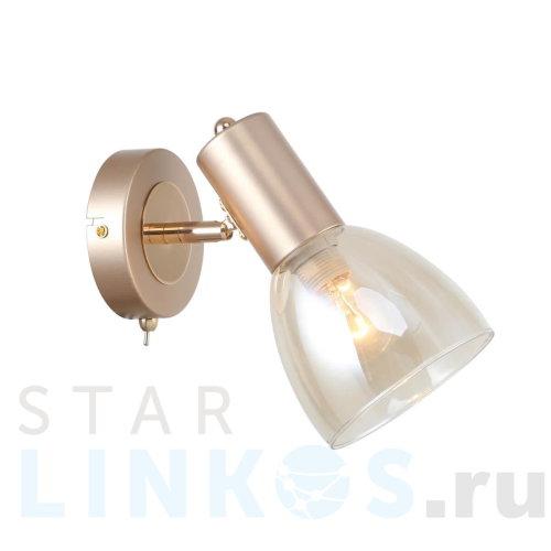 Купить Спот F-Promo Grillus 2660-1W за 2 500 руб. в Туле Купить с доставкой Спот F-Promo Grillus 2660-1W в Туле